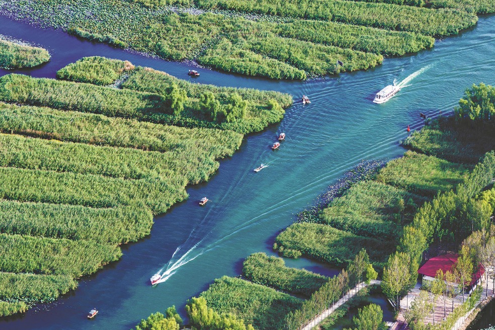 Baiyangdian brought back to life in Hebei