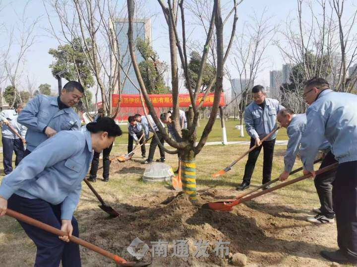 Japanese-invested firm donates cherry blossom trees to facilitate exchanges