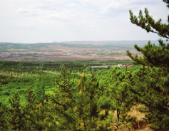 Shanxi unveils plan for desertification control, prevention