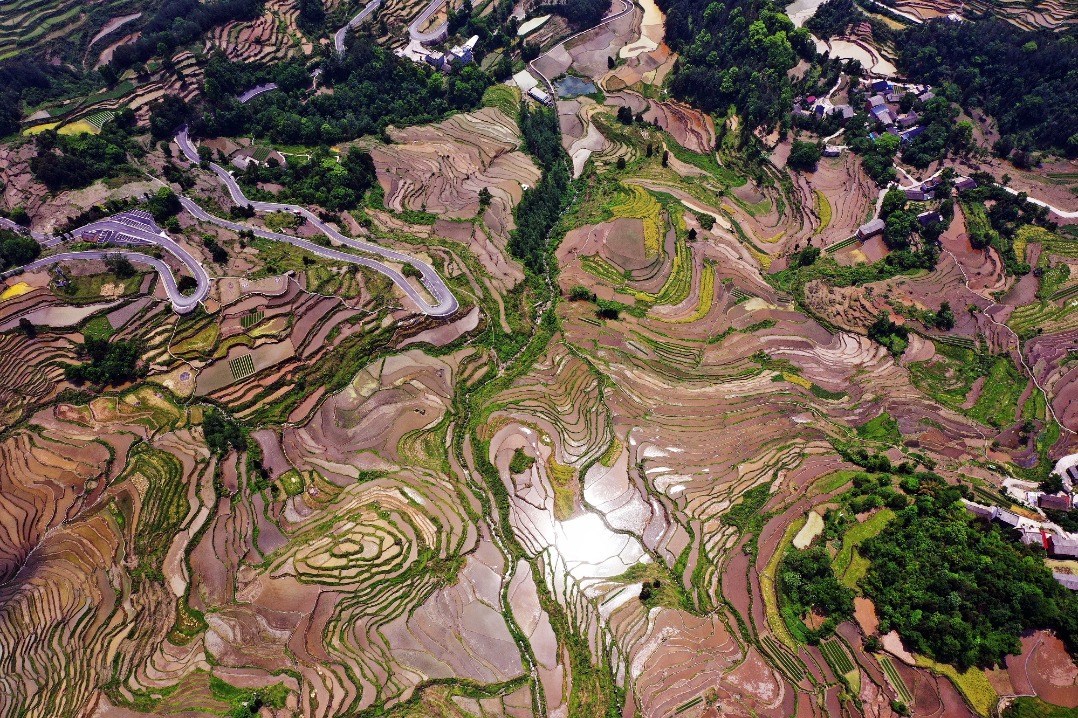 Spring plowing preparations transform terraces in SW China