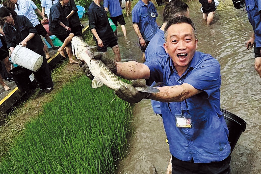 Workers find happiness in rooftop farm