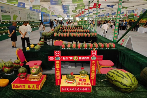 Changle Watermelon Festival celebrates sweet success in Weifang