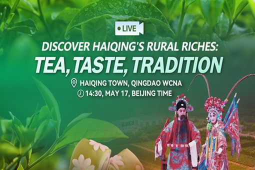Video: Discover Haiqing's rural riches: Tea, taste, tradition