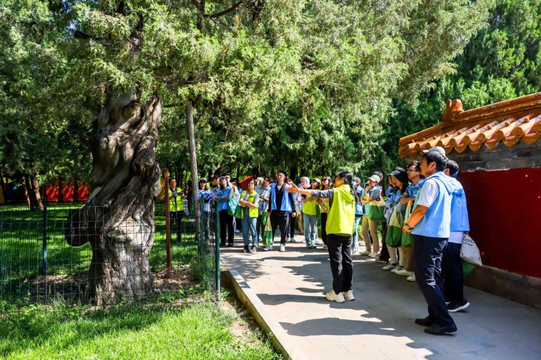 Audi China starts ancient tree-protecting initiative