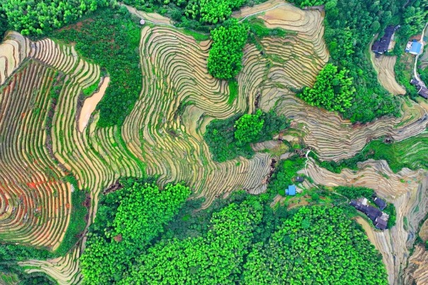 Picturesque scenery of Shangbao Terraces in Jiangxi