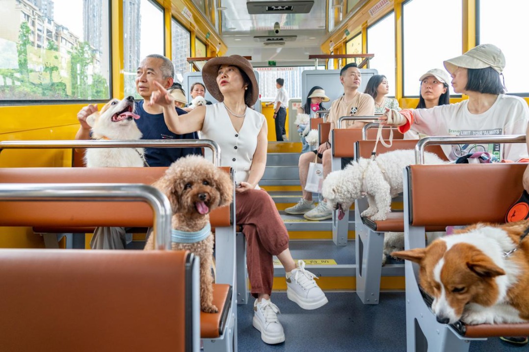 Pet-friendly tourist train opens in Chongqing park