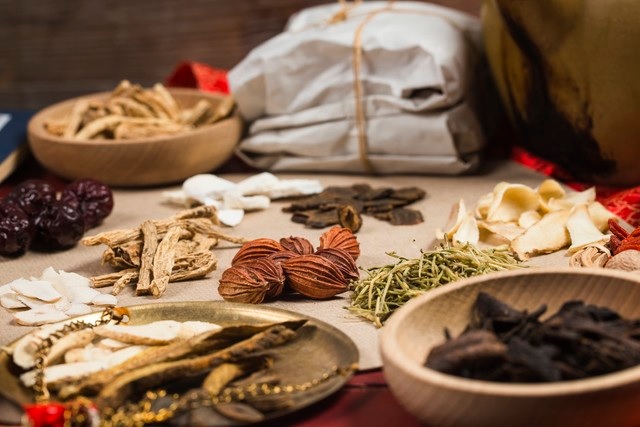 Experts urge rapid digitalization of TCM to reap full benefits