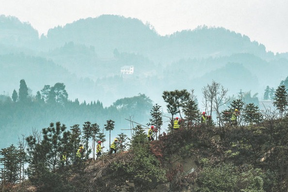 China's green milestones in combating desertification