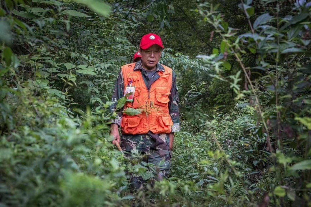 Beyond the call of duty: Gansu's forest rangers on patrol