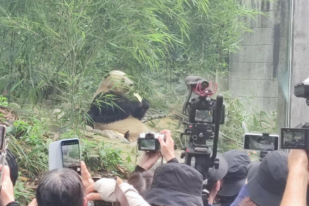 Xiang Xiang's seventh birthday draws Japanese panda fans