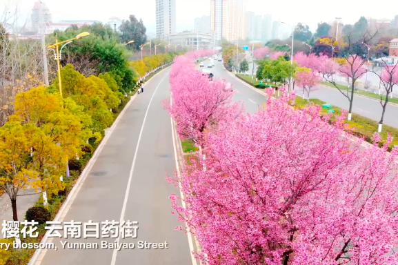 Experience the beauty of Chenggong district in Kunming