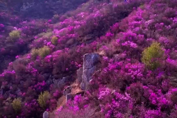 Gorgeous leaves in autumn at Donggou