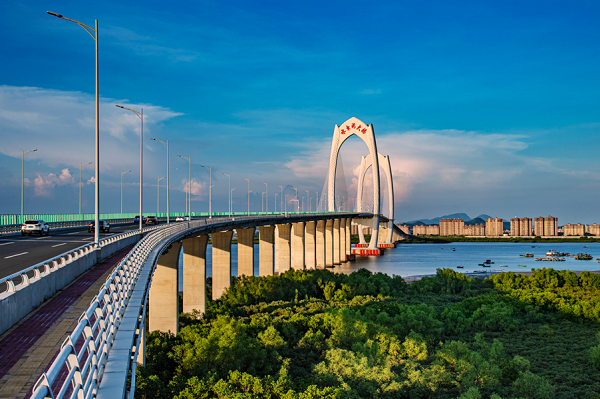 Maoming's efforts in ecological restoration, beautiful bay construction