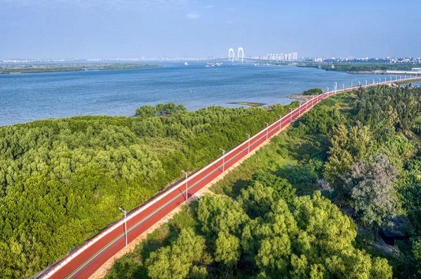 Maoming marathon to take place along the stunning coastal route