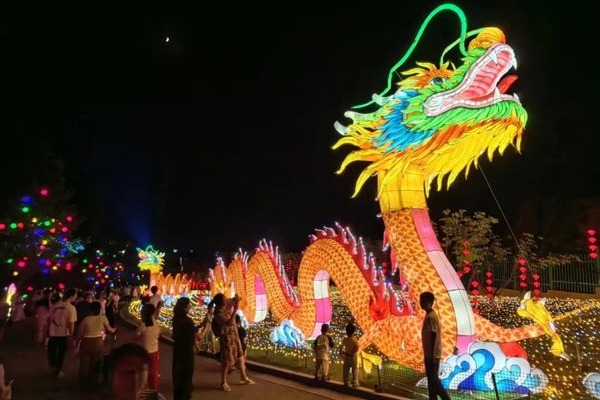 Yantai Botanical Garden comes alive at night