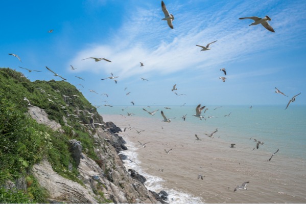 Nanbeipan Mountain: A haven for birdwatching