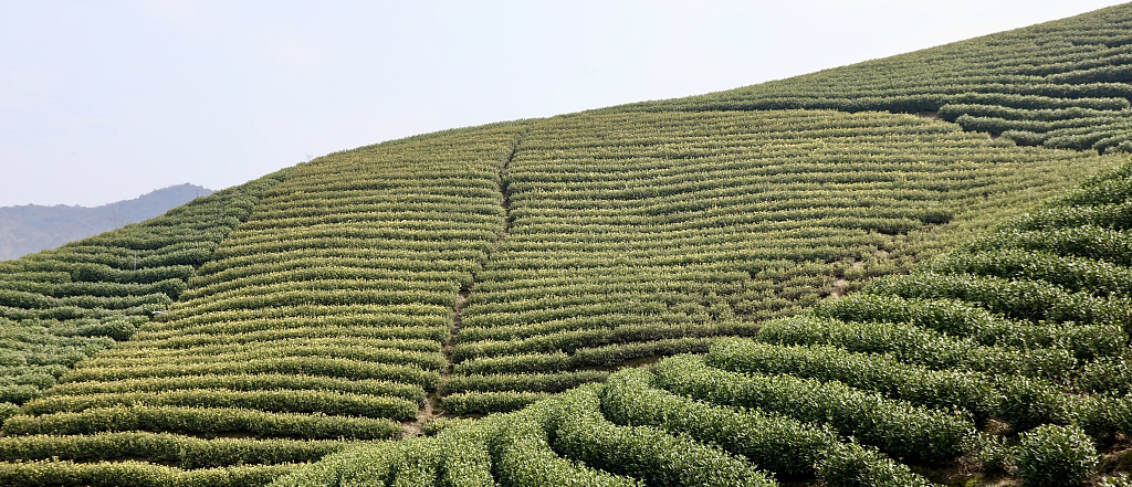 Xisai Mountain Tourist Resort, Zhejiang province