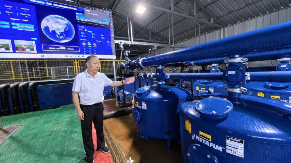 Innovative water practices are reshaping farming in Shaanxi