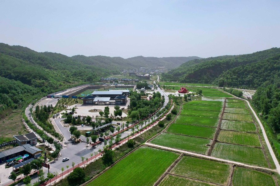 Thriving wetland park nurtures wildlife