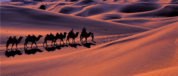 Zhongwei Desert Yellow River (Shapotou) Tourist Resort, Ningxia Hui autonomous region