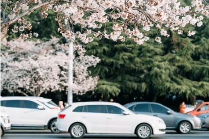 City roads showcase the beauty of Weifang