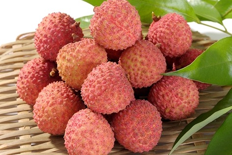 Gaozhou Litchi