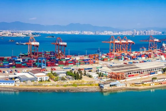 Overview of supply chain in Xiamen FTZ