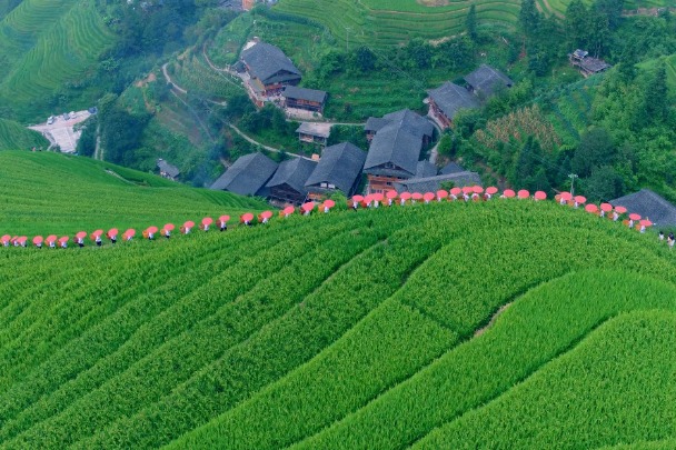 Longsheng Rice Terrace