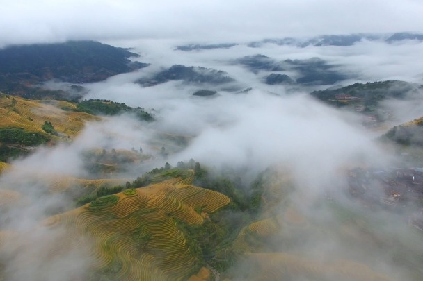 Longji Rice Terrace