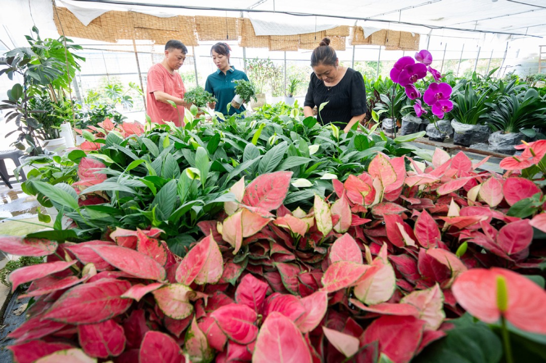 Flower and wood industry boosts rural economy in Hubei