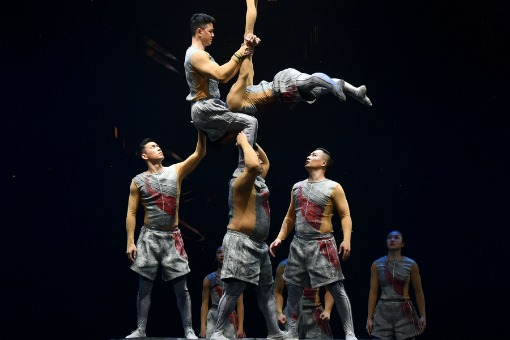 12th China Acrobatic Exhibition to open in Shenyang