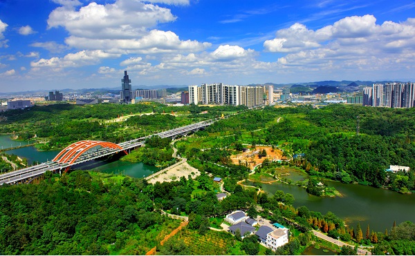 Guiyang's under-forest economy thrives