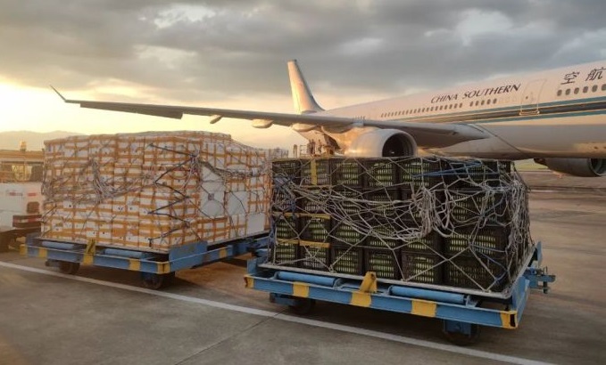 Guilin airport sees surge in air cargo volume of fruits, vegetables