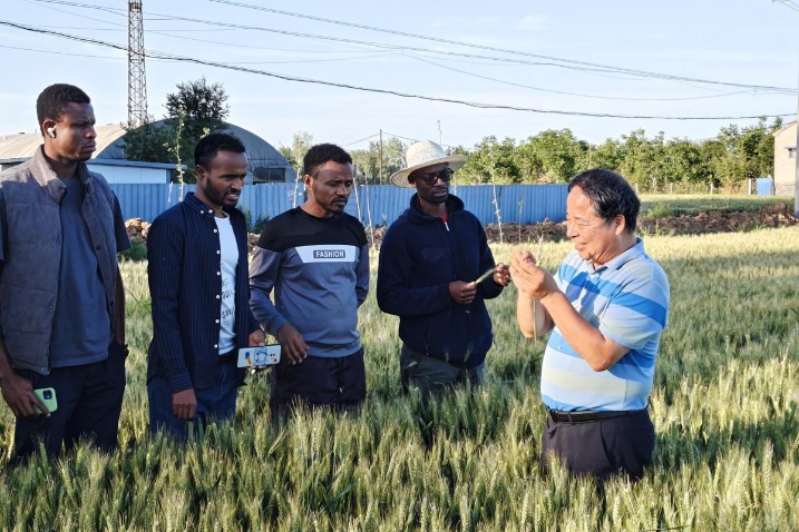 African students in China master agricultural techniques