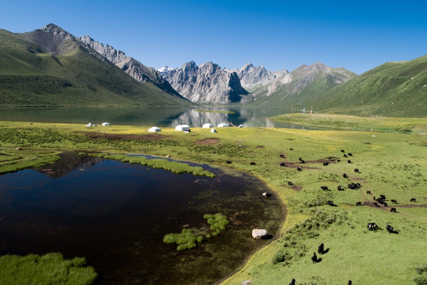 Qinghai-Xizang Plateau turning warmer, wetter, greener: scientific research