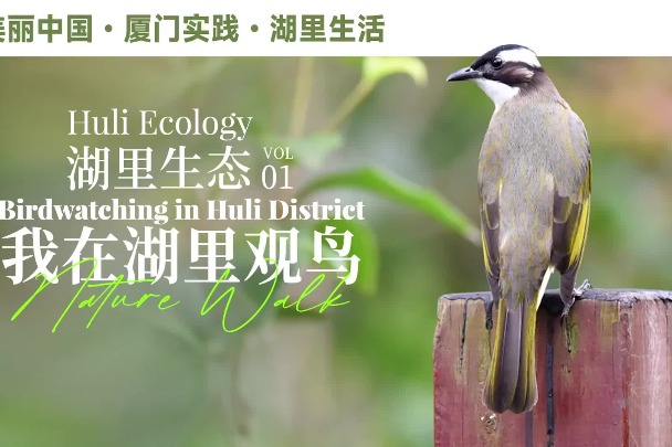 Birdwatching in Huli district