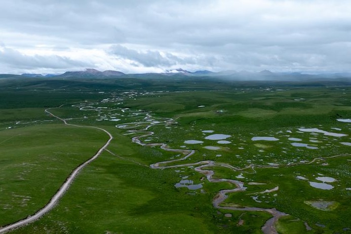 Qinghai-Xizang Plateau a vital carbon sink: scientific research