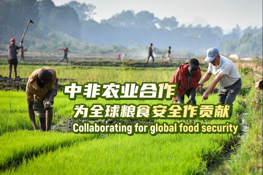 Expert: China-Africa partnership offers hope of global food security