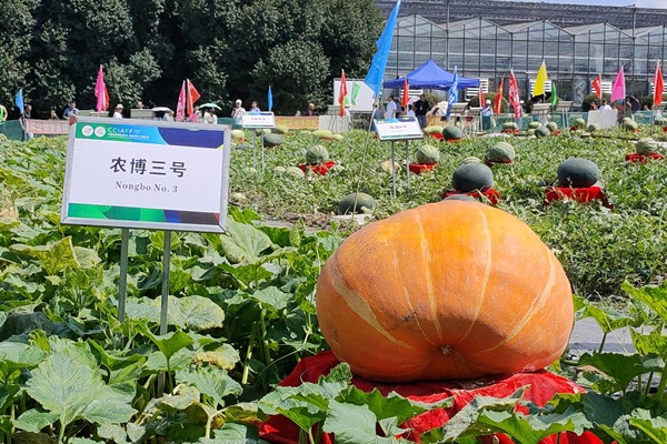 Changchun intl food expo spotlights innovation, green development