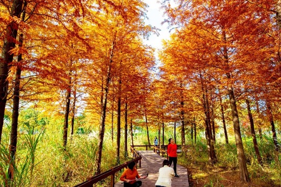 Experience the serene beauty of Hongshan sub-district of Wuxi