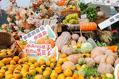 Guangdong to host 2024 Chinese Farmers' Harvest Festival in Huazhou, Maoming