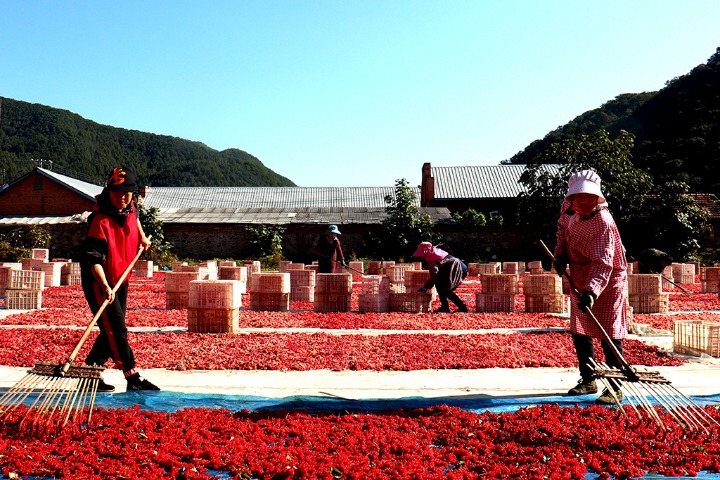 Jilin welcomes its beautiful harvest season