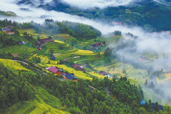 Foreign tourists flock to Hunan and savor local culture