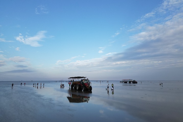 Stunning sunset views of Jinni Bay at the Yellow River estuary