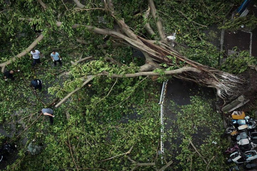 Hainan resumes production, normal life after super typhoon