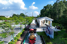 Maoming's new tourist train offers scenic rides through open-pit ecological park