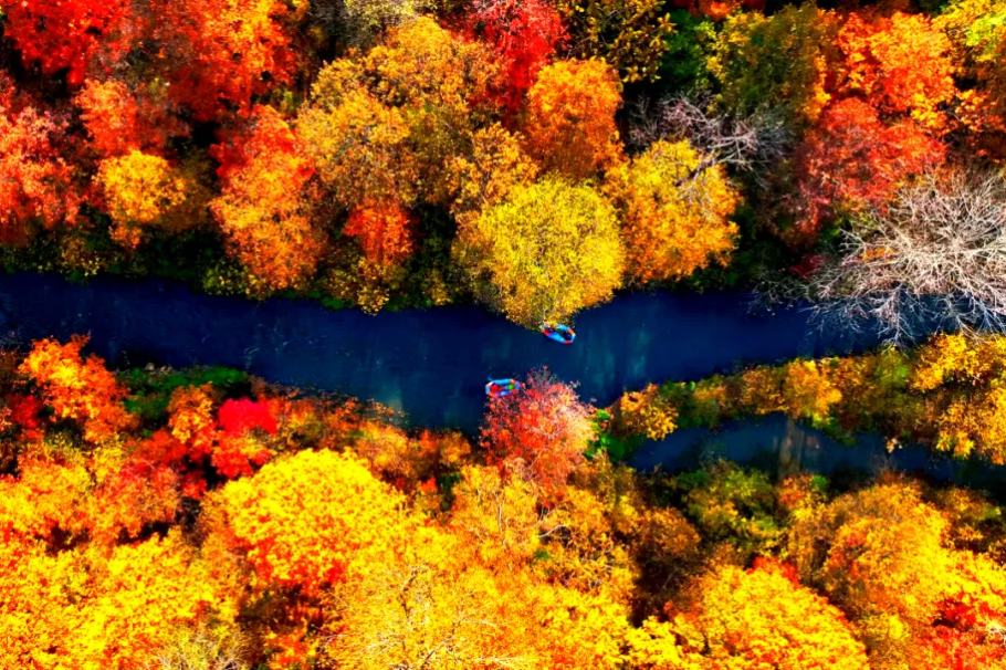 See Jilin's kaleidoscopic autumn beauty in pictures