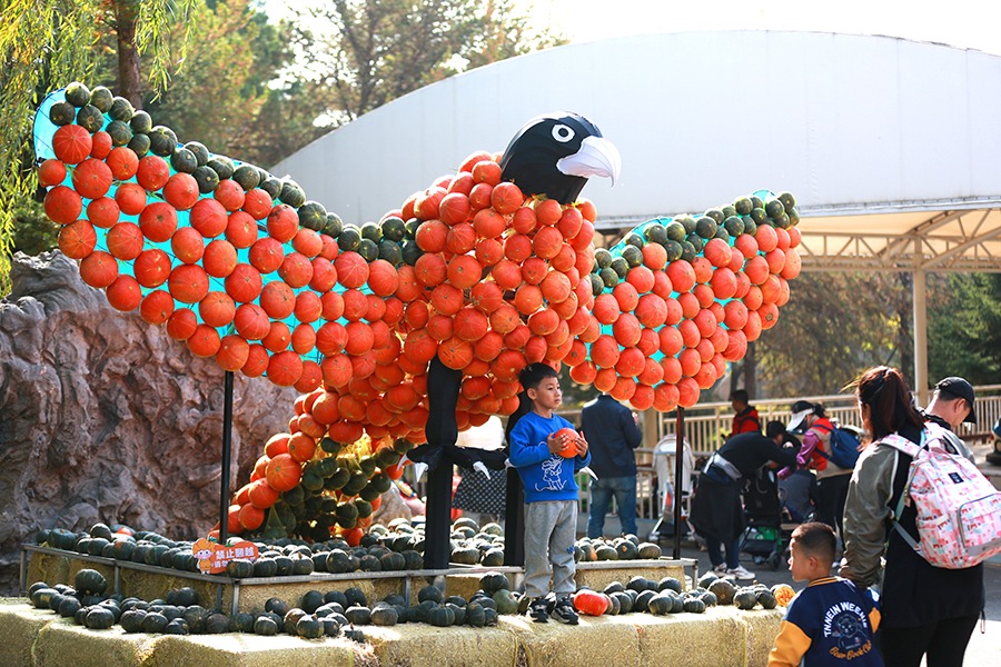 Pumpkin art kingdom appears in Changchun