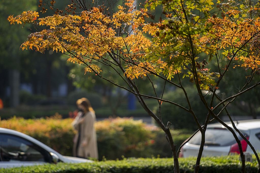 China to see cooler weather but favorable travel conditions over National Day holiday