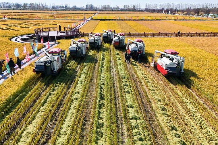 High tech propels bumper harvests in China's grain-producing provinces